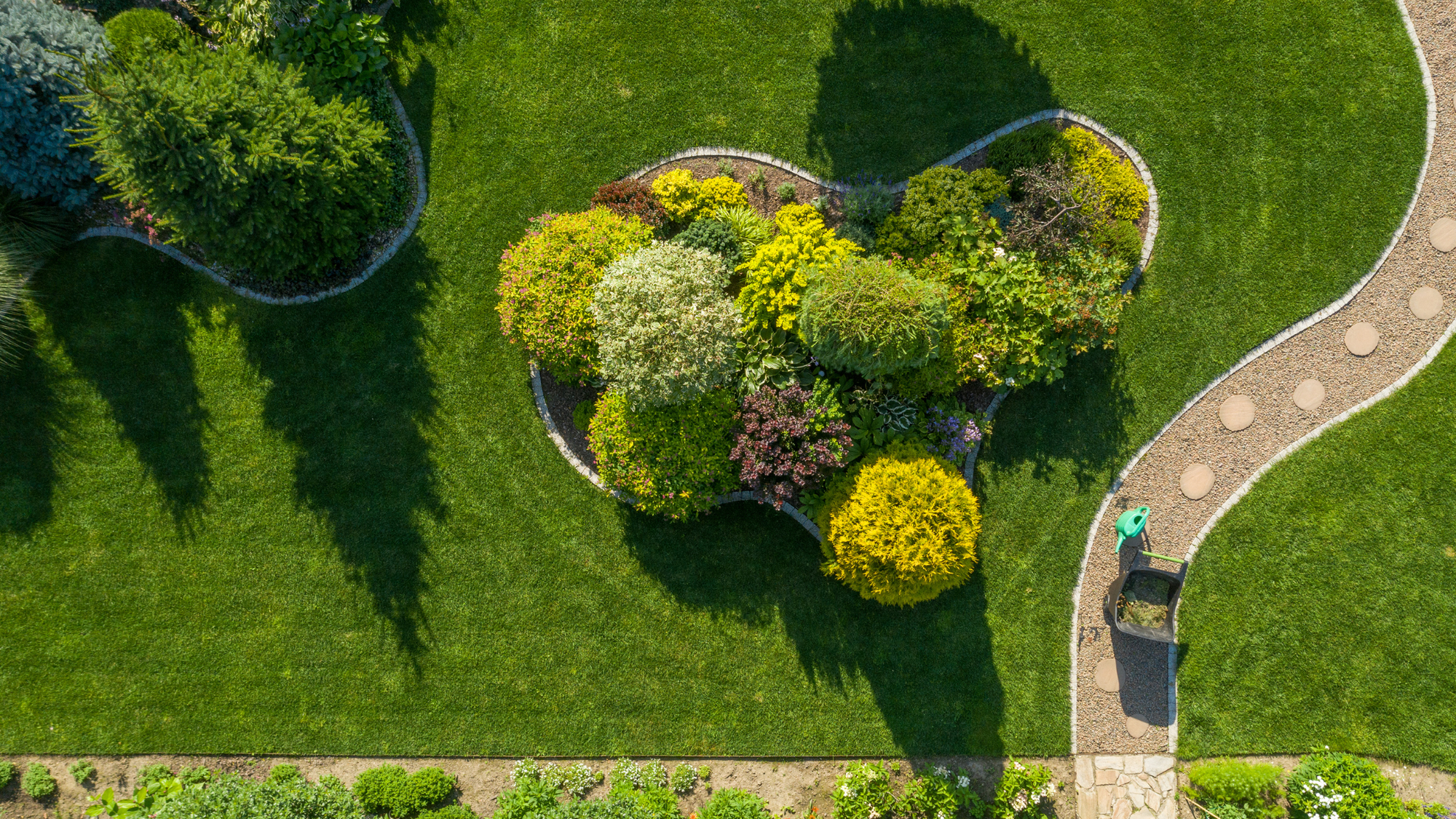 Unlocking the Potential: What to Do with a Big Backyard